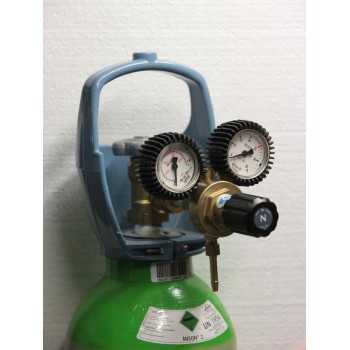 Dual-gauge pressure regulator