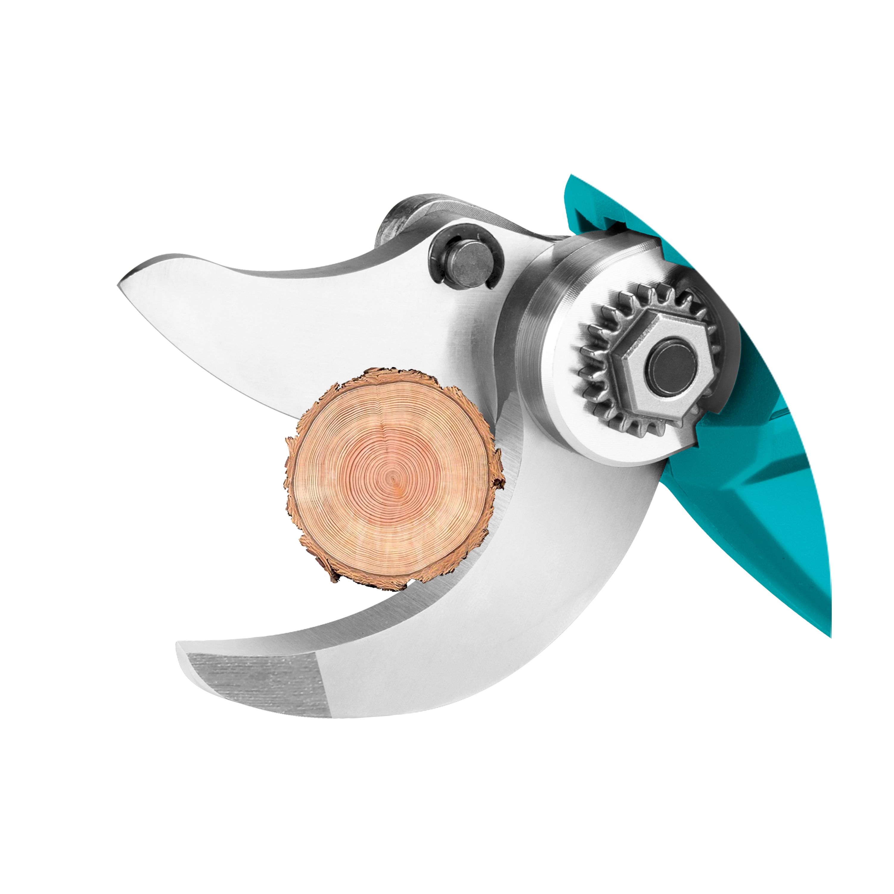 Brushless battery pruning shears TSSLI20308 | 20 V